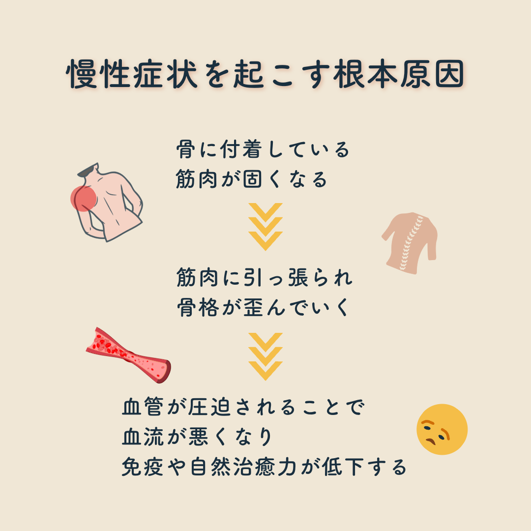 慢性症状を起こす根本原因。①骨に付着している筋肉が固くなる　②筋肉に引っ張られ骨格が歪んでいく　③血管が圧迫されることで血流が悪くなり免疫や自然治癒力が低下する