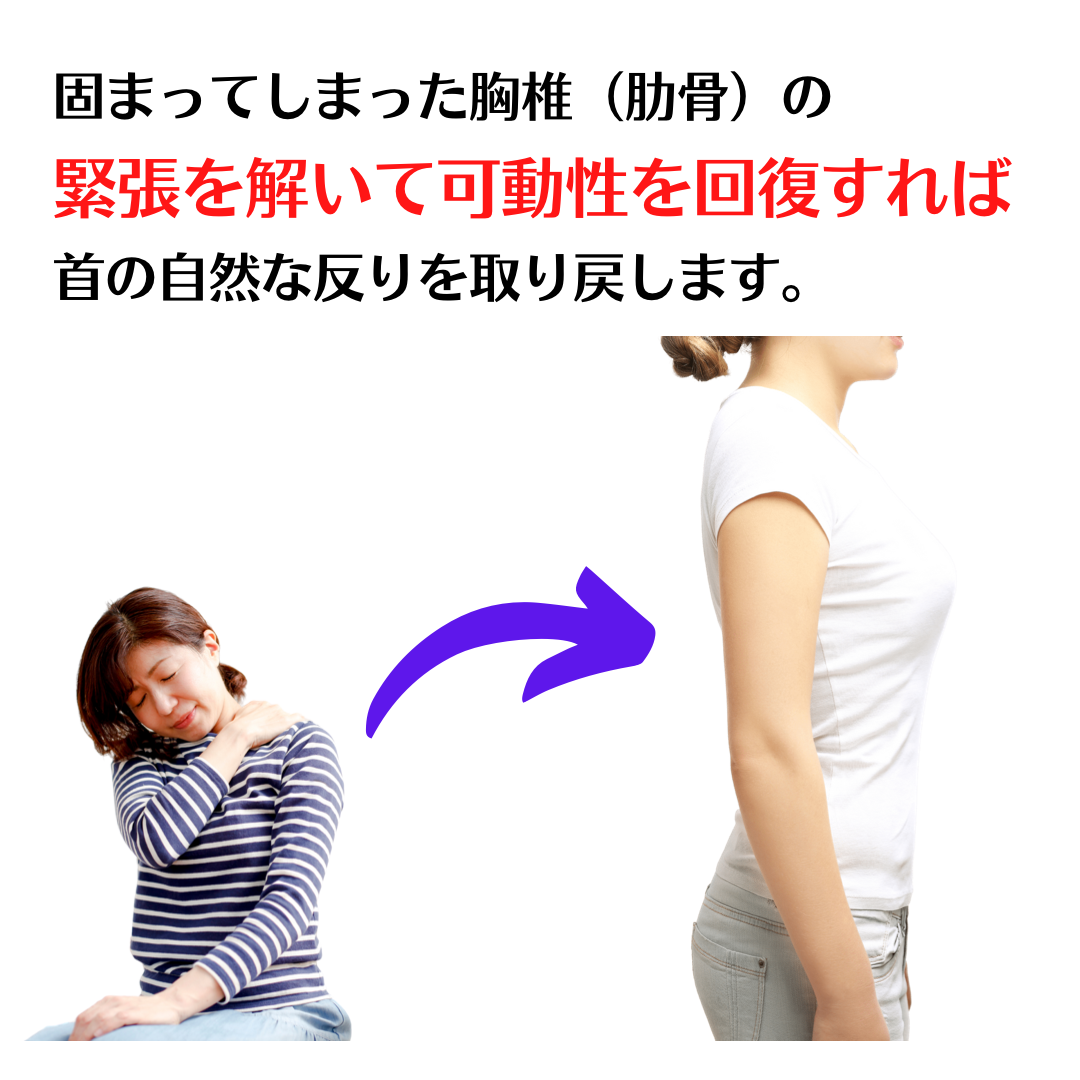 固まってしまった胸椎の緊張を解いて可動性を回復すれば、首の自然な反りを取り戻します。