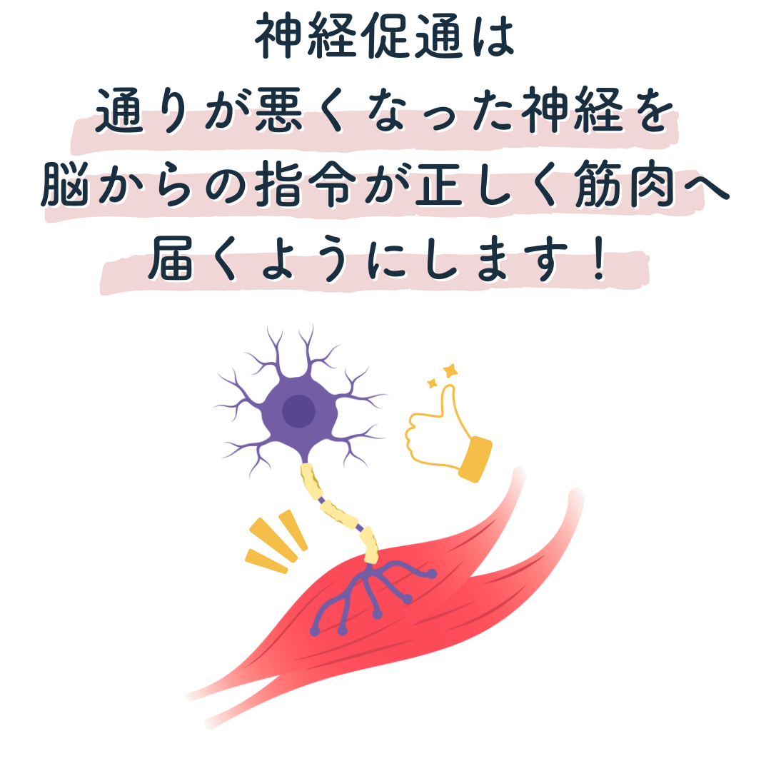 神経促通は、通りが悪くなった神経を促通させることで、脳からの命令を正しく筋肉に届くようにします！